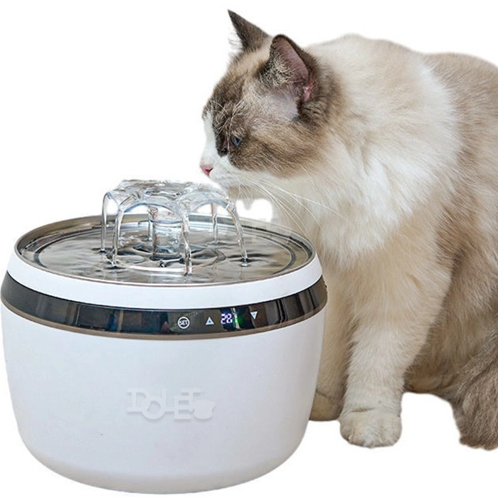 Pet Water Fountains